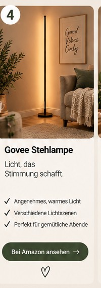 Govee Stehlampe – WOHNUKI Visual